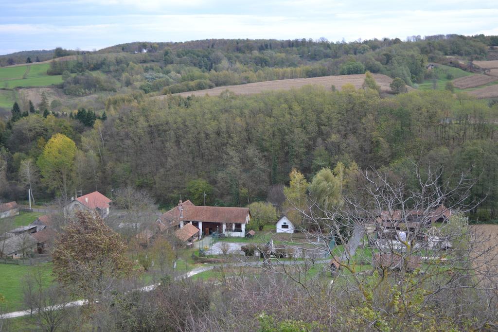 Guest House Suncano Selo Jagnjedovec Room photo